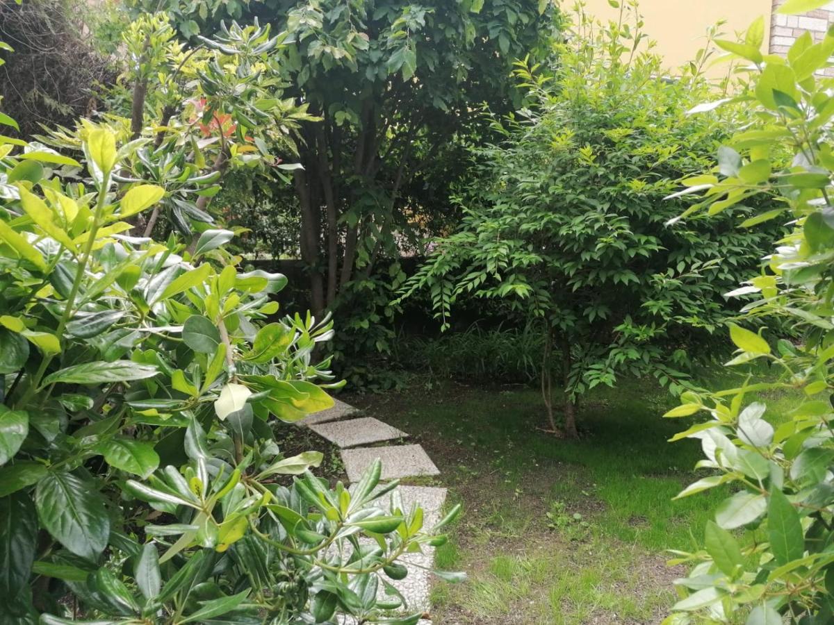 L'Angolino Apartment 特伦托 外观 照片
